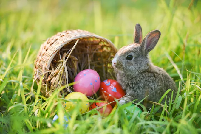 How do you send a letter to the Easter Bunny? image