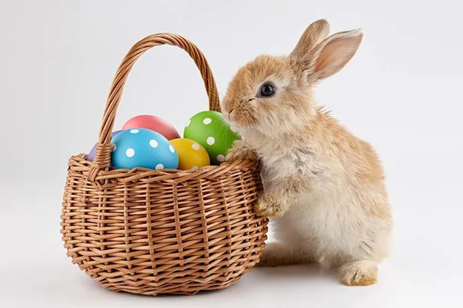 What does the Easter Bunny call the act of leaving his eggs all over? image