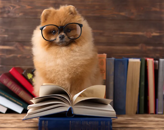 Which dogs love to study science? image