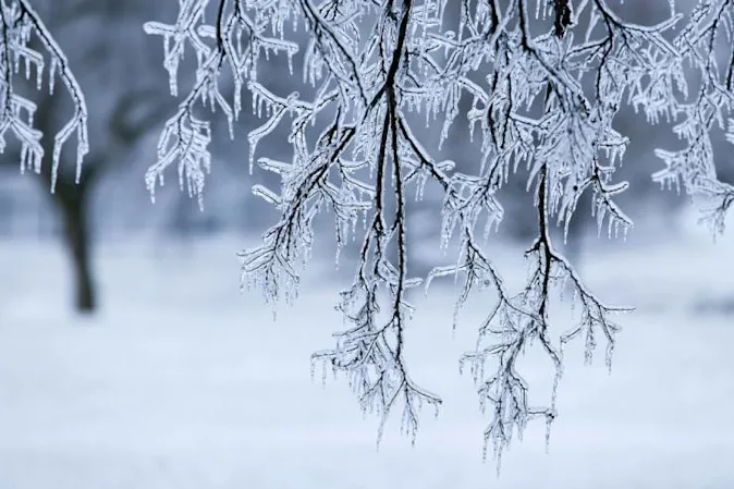  You have to be very careful in an ice storm. image