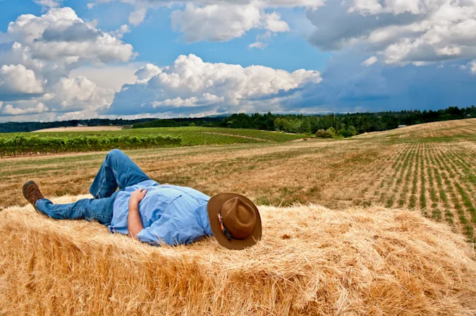 Why are farmers so laid-back? image