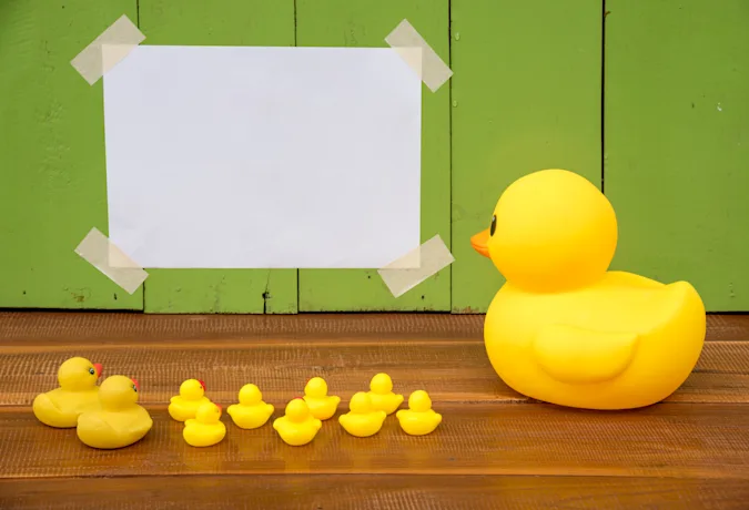 Why did the mother duck make such a great schoolteacher? image