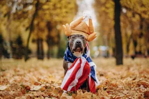 12 Turkeytastic Thanksgiving Jokes