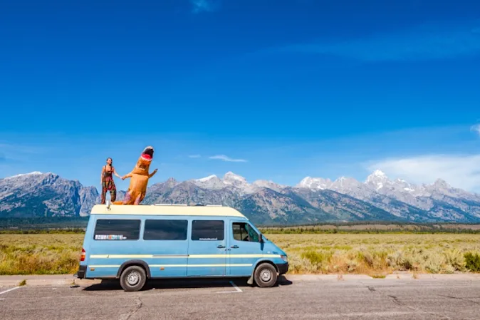 What do you get when dinosaurs crash their cars? image