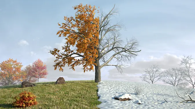 How do fall and winter say hello? image