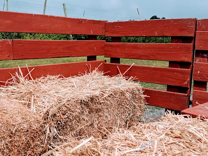 What type of vehicle should you use for a fall hayride? image