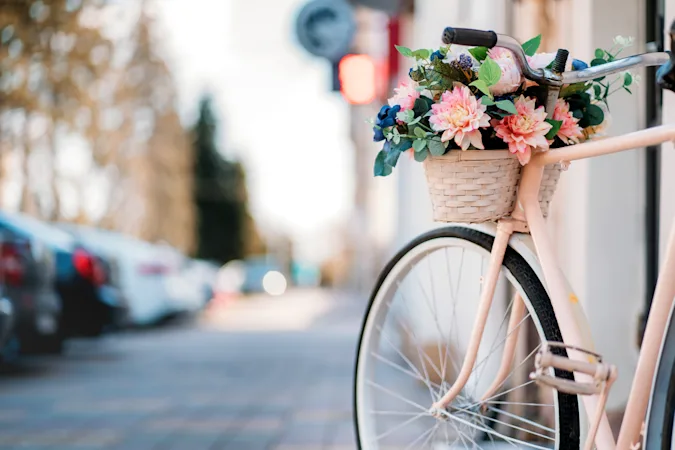 What do you get if you cross a bike and a flower? image
