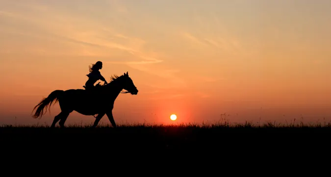 I rode my horse to town on Friday. The next day I rode back on Friday. How? image