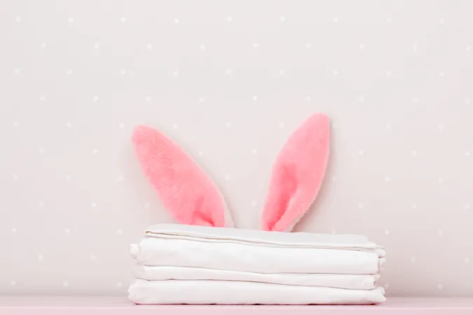 What was the bunny's job at the hotel? image