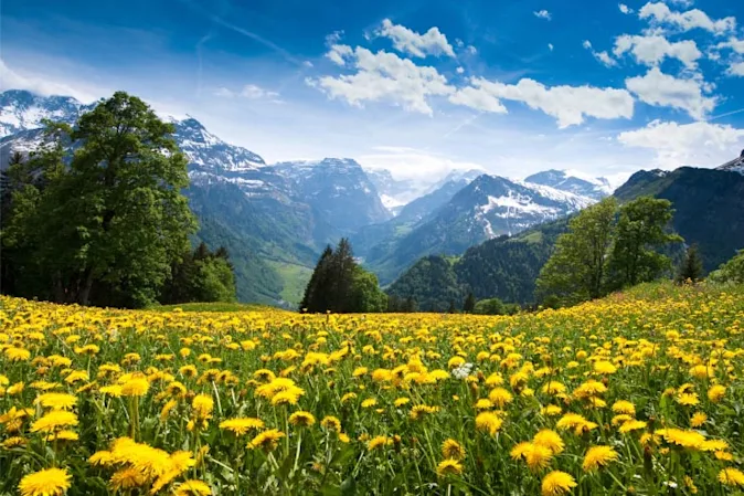  When do flowers get their workout in? image