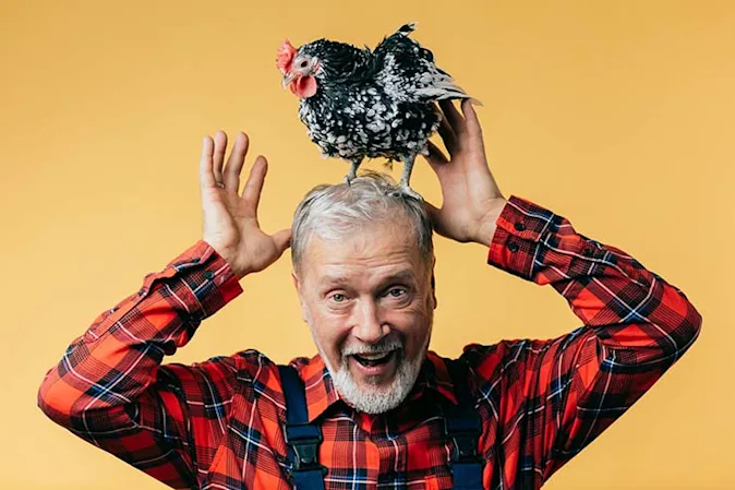 What's the difference between people and chickens? image