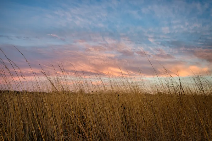 What did the two grasslands become when their parents got married? image