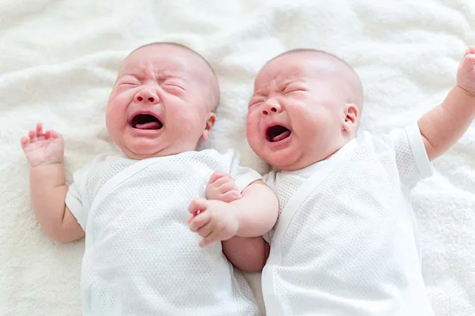  What siblings are always sad? image