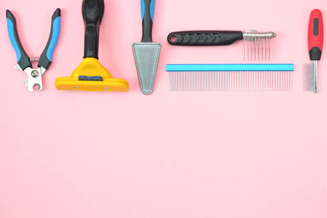 What animal styles their hair every day? image