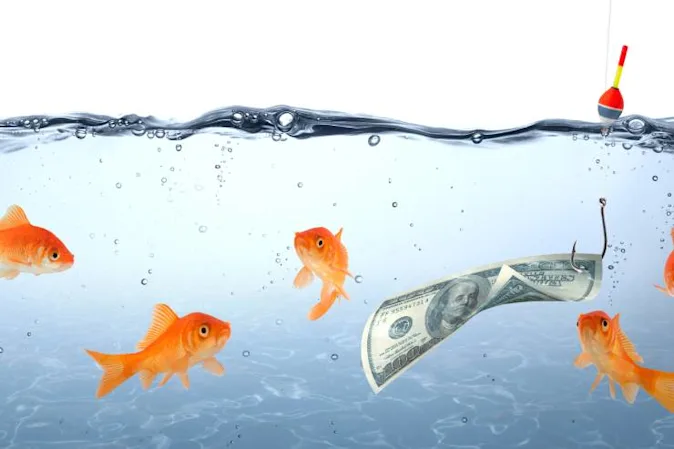  To whom do fish go to borrow money? image