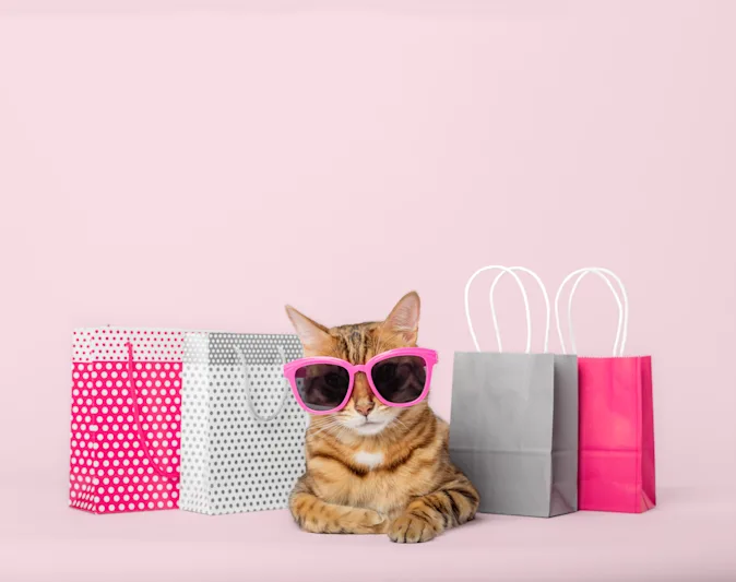 What money do cats use to go shopping? image
