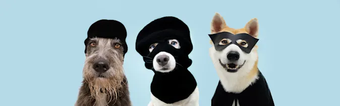 Which dog loves to rob banks? image