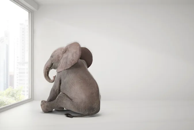 What time is it when an elephant sits on your bed? image