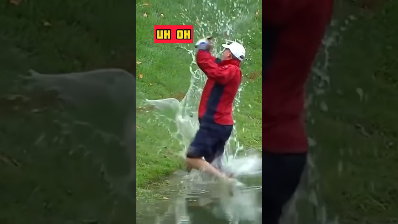 Fwar - Mushrooms video thumbnail