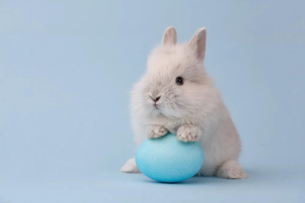 Why did the Easter Bunny panic when the kids decorated his eggs?