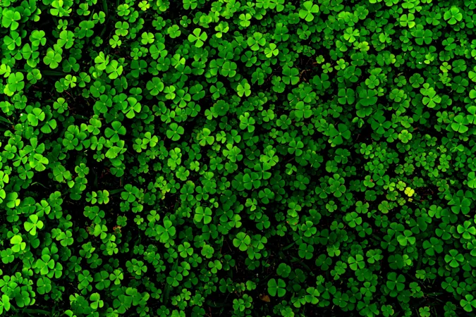 Why do people wear shamrocks on St. Patrick's Day? image