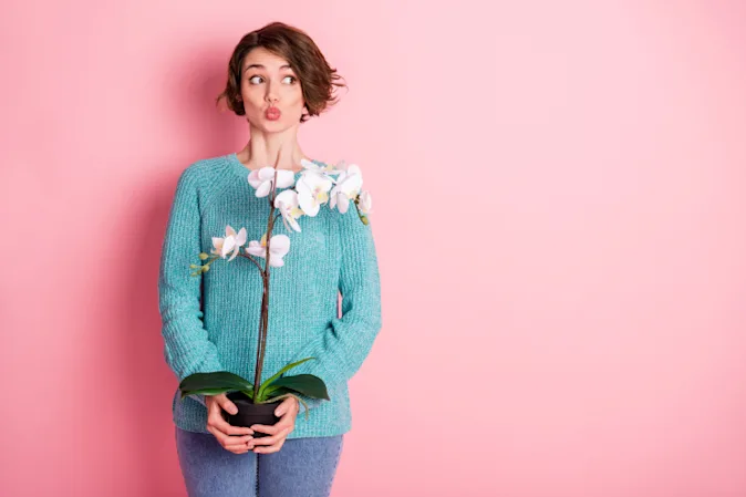  What do you get when two plants kiss? image