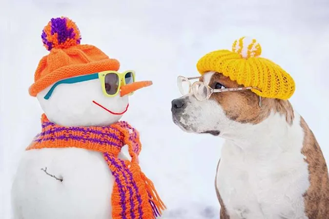  Why did the snowman call his dog Frost? image