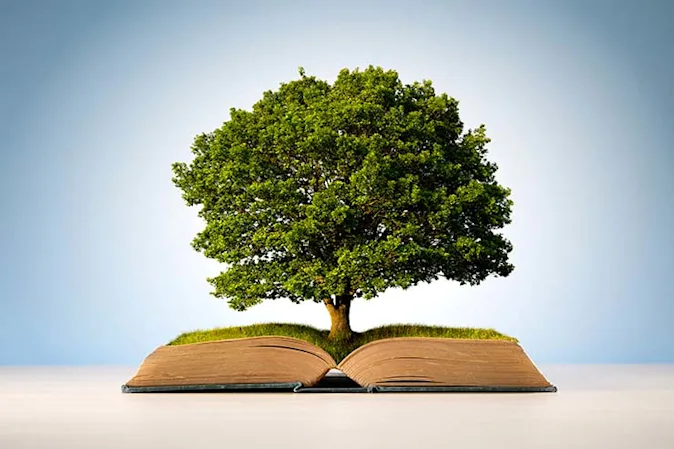  What kind of story do trees love to tell? image