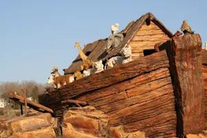 How did Noah see the animals in the Ark at night? image