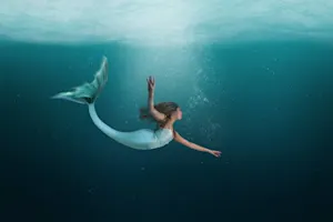 How did the mermaid call her friends? image