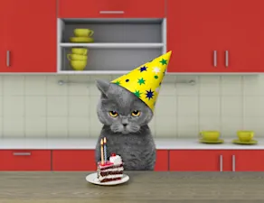 How do cats make a birthday cake? image