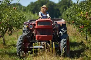 How do you get a country girl to like you? image