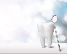 How do you get to Tooth Island? image