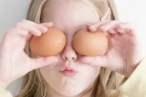 Why don't eggs tell jokes? image