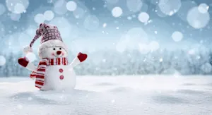 What do snowmen eat for breakfast? image