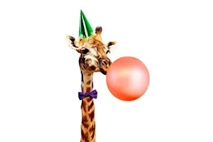 What animal has the most fun? image