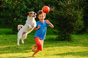 What animal scores the most in basketball? image