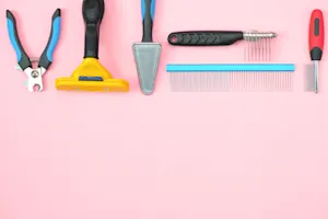 What animal styles their hair every day? image