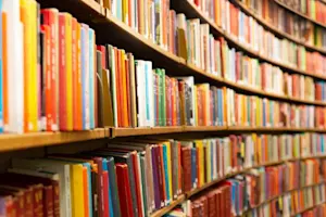 What color are all the books in the library? image