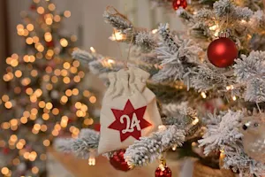 What did Adam say on the day before Christmas? image