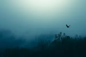 What did the baby bird say on Halloween? image