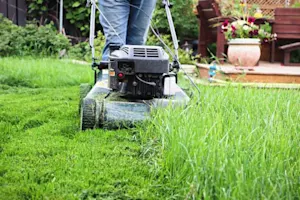 What did the Parisian say after cutting his grass? image