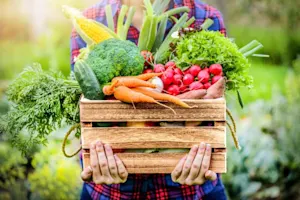 What did the tomato say to the ear of corn? image