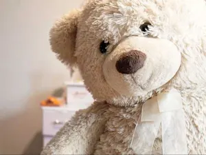 What do you call a bear with no teeth? image