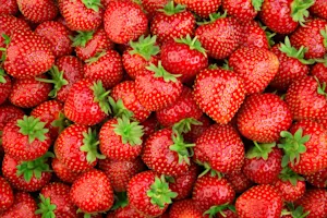 What do you call a depressed strawberry? image