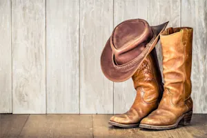 What do you call a retired cowboy? image