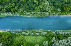 What do you call a river that thinks it's an ocean? image