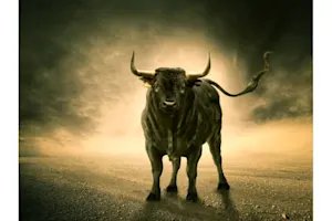 What do you call a sleeping bull? image