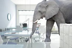 What do you call an elephant that doesn't matter? image