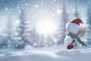 What do you call an old snowman? image